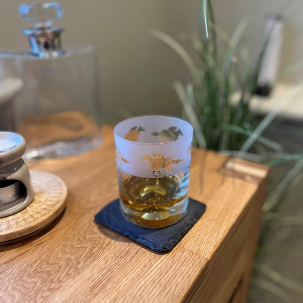 Horse Racing Themed Whisky Tumbler Glass