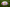 Personalised Official Women's Rugby World Cup Ball