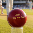 Personalised Vintage Leather Cricket Ball