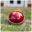 Personalised Half Cricket Ball Bottle Opener - Monogrammed Leather Cricket Gift
