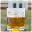 Cricket Themed Whisky Tumbler Glass
