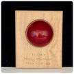 Personalised Cricket Ball Gift On Solid Oak Plaque | Cricket Award | End Of Season Prize