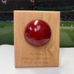 Personalised Cricket Ball Gift On Solid Oak Plaque | Cricket Award | End Of Season Prize