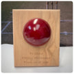 Personalised Cricket Ball Gift On Solid Oak Plaque | Cricket Award | End Of Season Prize
