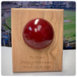 Personalised Cricket Ball Gift On Solid Oak Plaque | Cricket Award | End Of Season Prize