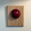 Personalised Cricket Ball Gift On Solid Oak Plaque | Cricket Award | End Of Season Prize