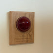 Personalised Cricket Ball Gift On Solid Oak Plaque | Cricket Award | End Of Season Prize
