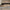 Personalised Wooden Mini Cricket Bat – Custom Engraved Gift with Free Display Stand