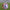 Personalised Premier League Football – 2025/26 Season
