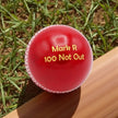 Personalised Vintage Leather Cricket Ball