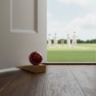 Personalised Cricket Ball Doorstop – Handmade in Oak