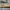 Personalised Mini Cricket Bat With Clock With Free Display Stand