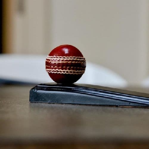 Cricket Ball Door Wedge