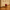 Personalised Cricket Ball Doorstop – Handmade in Oak